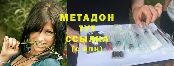 индика Аркадак