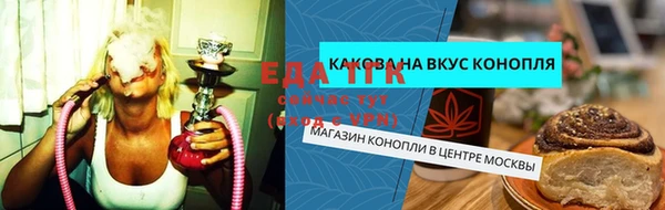 индика Аркадак