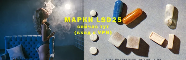 индика Аркадак