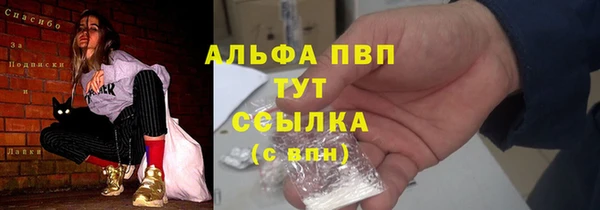 индика Аркадак