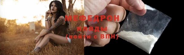 индика Аркадак