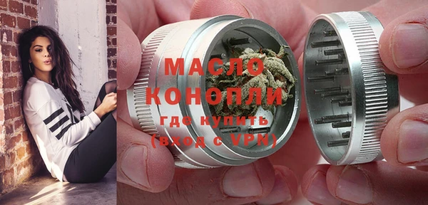 индика Аркадак