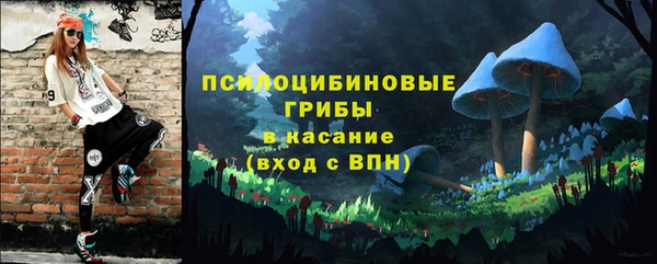 индика Аркадак