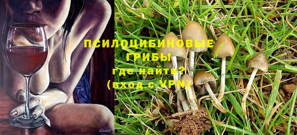 индика Аркадак