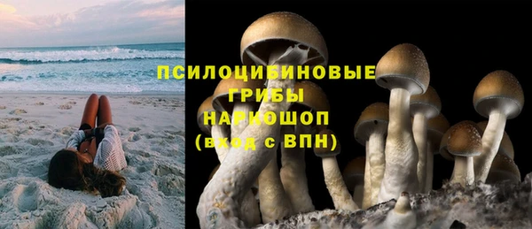 индика Аркадак