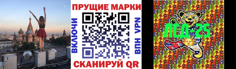 Купить закладки  Новоузенск  Марки N-bome 1,8мг 
