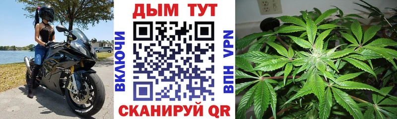 Купить где  Новоузенск  Шишки марихуана THC 21% 